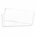 #10 Registration Envelopes (Blank)